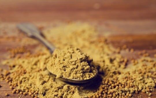 What is mustard powder?